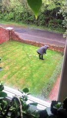 Friendly Fox Comes for a Daily Feed