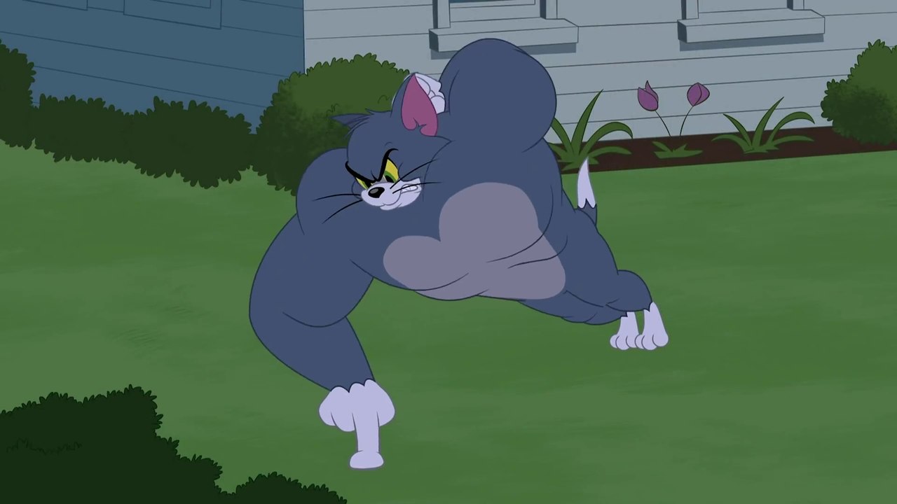 The Tom and Jerry Show_ Tom The Gym Cat _New cartoon-Animation_Nice