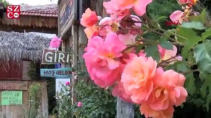 Bu restoranda mantarsız yemek yok