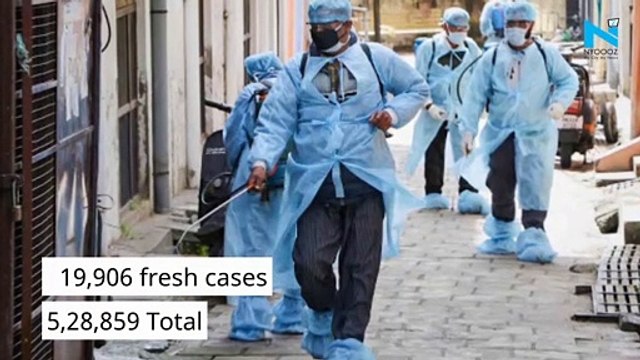 India adds nearly 20,000 Covid-19 cases in a day for first time, tally rises to 5,28,859