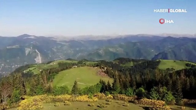 Akinek Yaylası yeşilin binbir tonuyla büyüledi