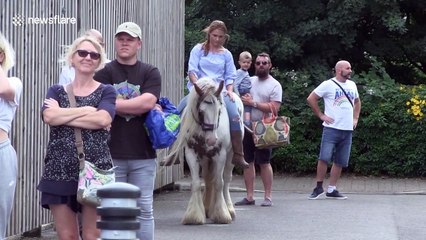 Bizarre moment a horse queues outside UK supermarket