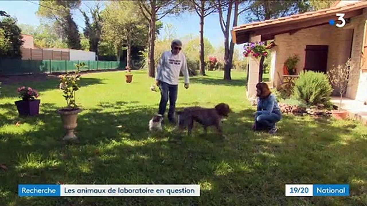 Le gouvernement a-t-il vraiment publié un décret permettant aux particuliers de vendre leur animal domestique pour des tests en laboratoire ?