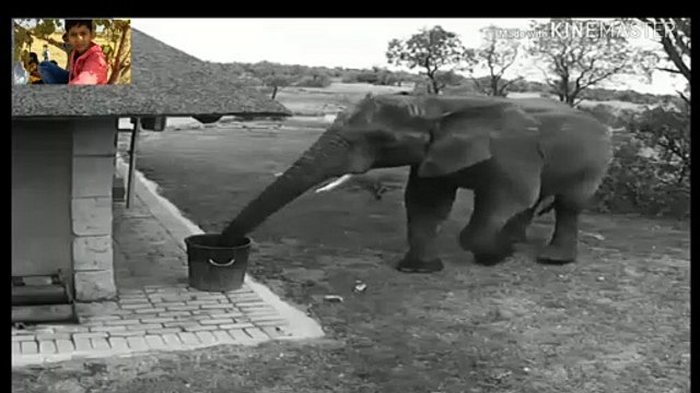 Sabki mehnat Ka Ye fal hai Indore number one hai song ( 1440 X 1440 )