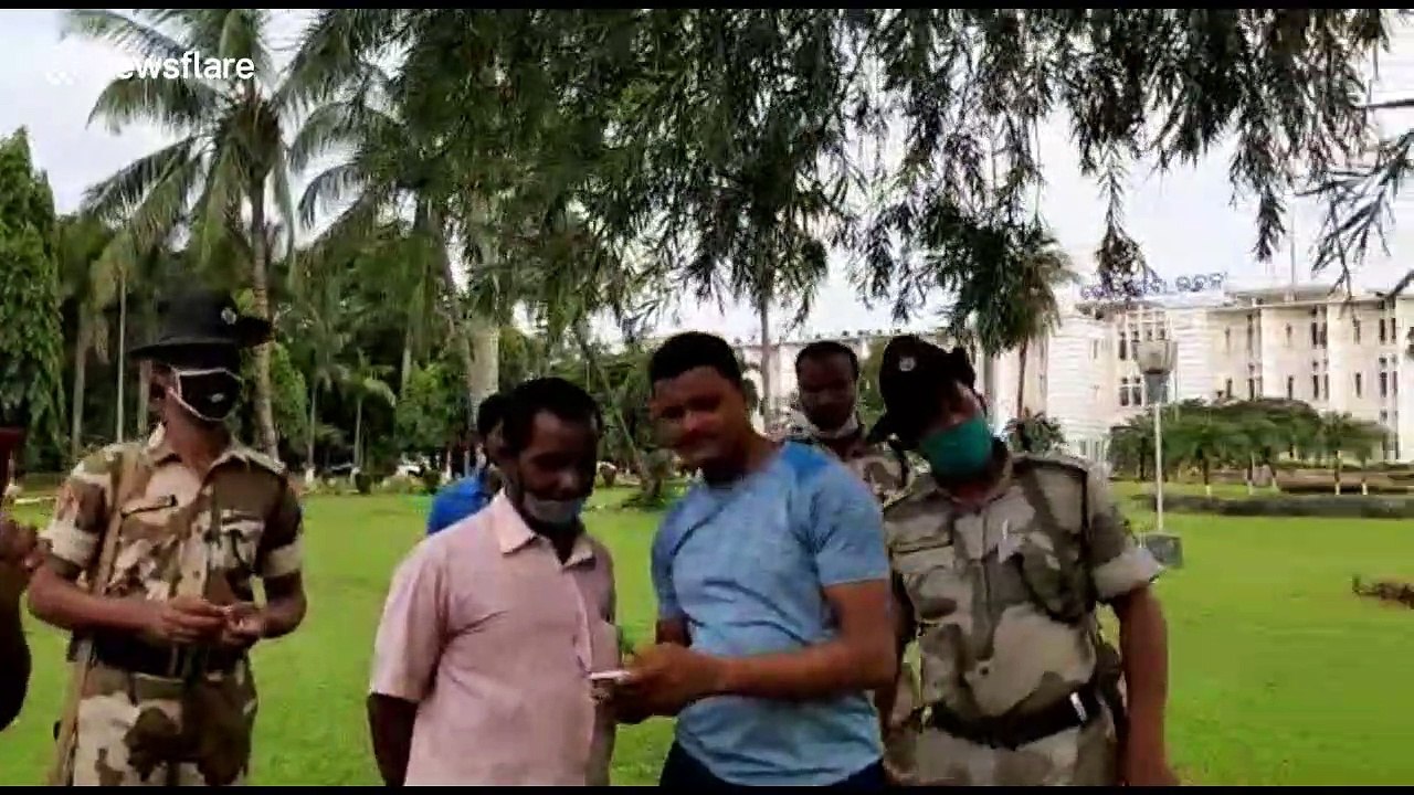 Indian rescuer teases six-foot-long snake from tree hollow