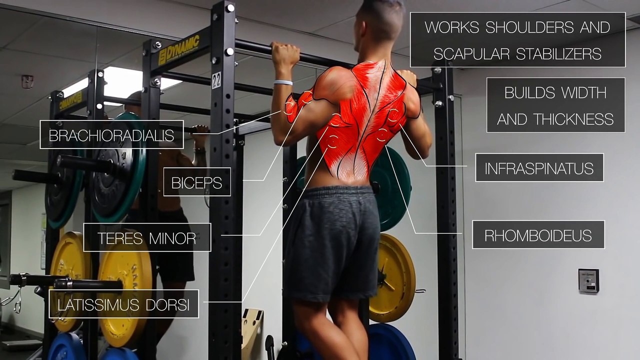 Pull ups कैसे करें  |  how to do pull ups at home | pull ups kaise lagaye | pull ups for beginners