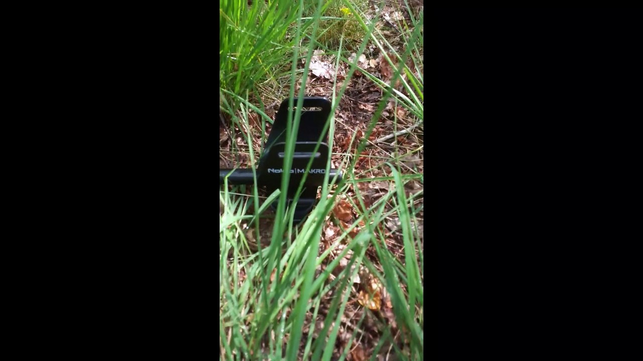 metaldetecting #1