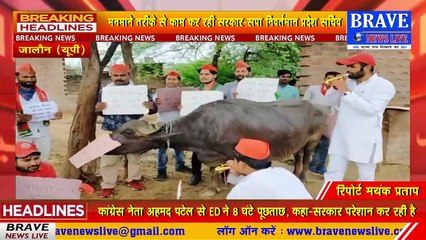 डीजल-पेट्रोल के बढ़ते दामों को लेकर जालौन में सपाइयों ने सरकार के खिलाफ किया अनोखा विरोध प्रदर्शन