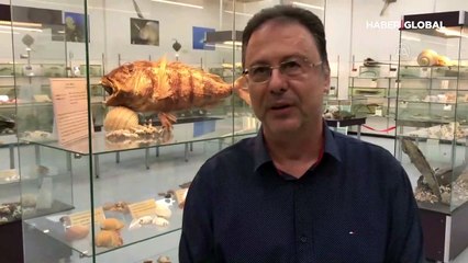 Somon balığında koronavirüs iddiası... Açıklama geldi