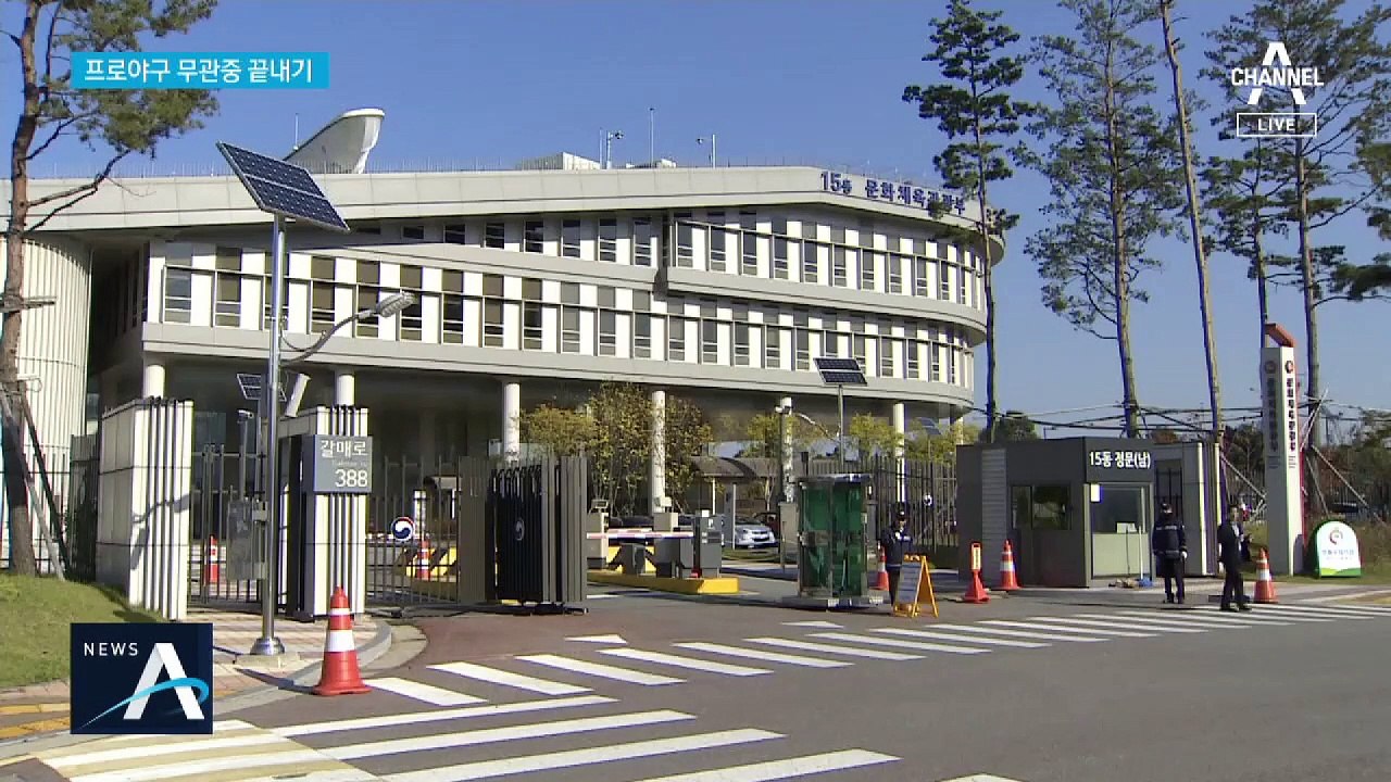 “야구 직관 가자”…프로스포츠 관중 입장 허용