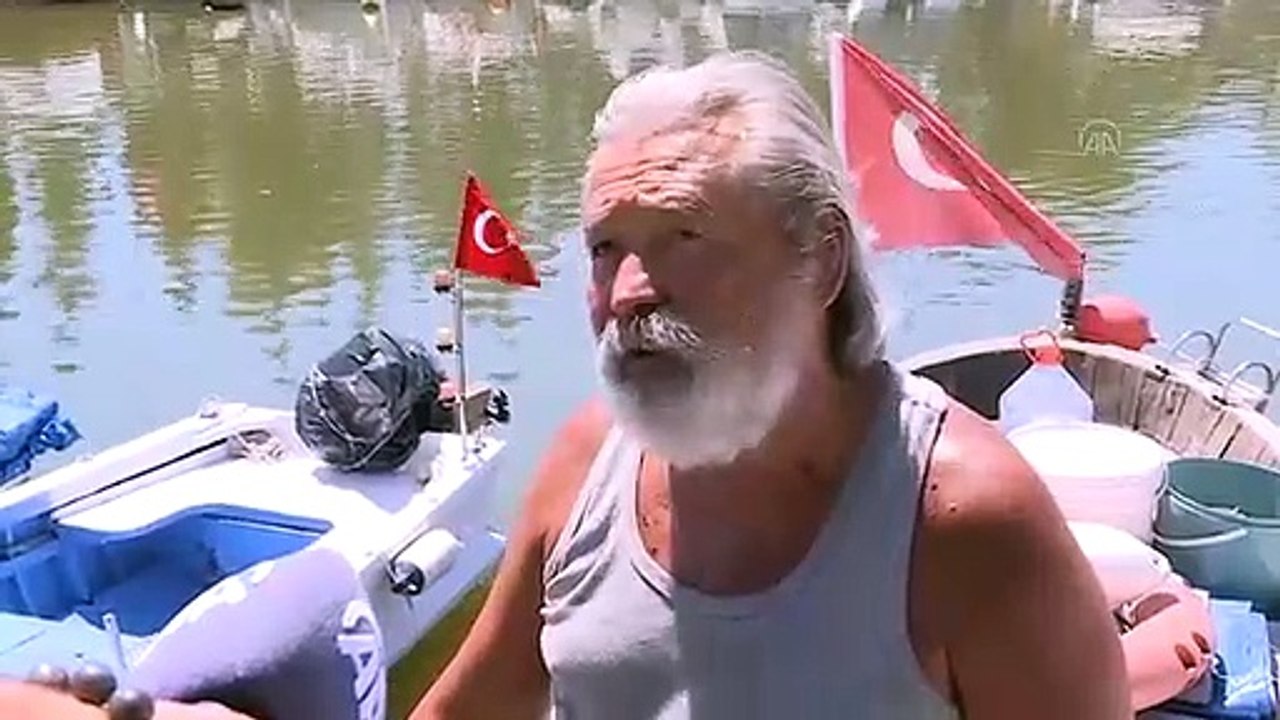 Küçükçekmece Gölü'nde binlerce balık kıyıya vurdu