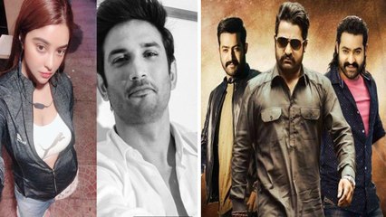 Jr NTR Nepotism లో నుండి వచ్చిన వాడు కాదా ? మూసుకుని ఉండండి అంటూ ఓ రేంజ్‌లో హీరోయిన్  ఫైర్..!!