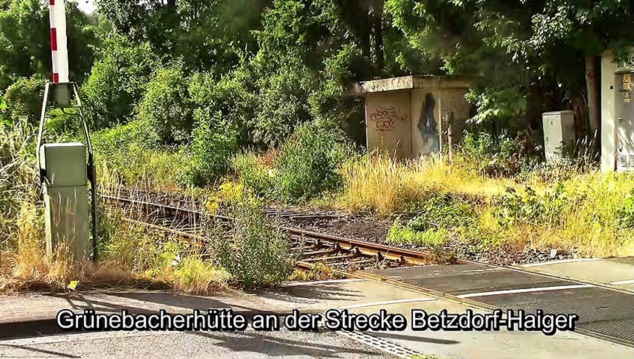 Auf großer Tour den Natursteig Sieg entlang 13 – 1