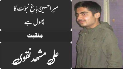 Mera Hussain(A.S) Bagh e Nabuwwat Ka Phool Hai|Manqabat|Informative 69