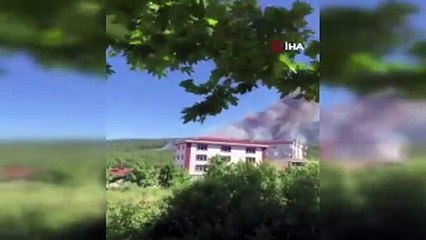 Kayışdağında ormanlık alanda yangın