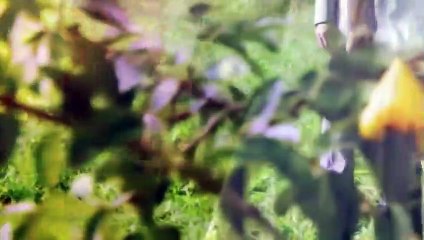 Sturm der Liebe Folge 3393 | Evas Brief (3393) ( N)