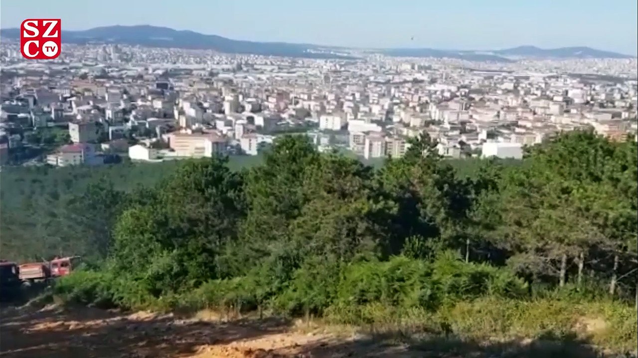 İstanbul’da orman yangını