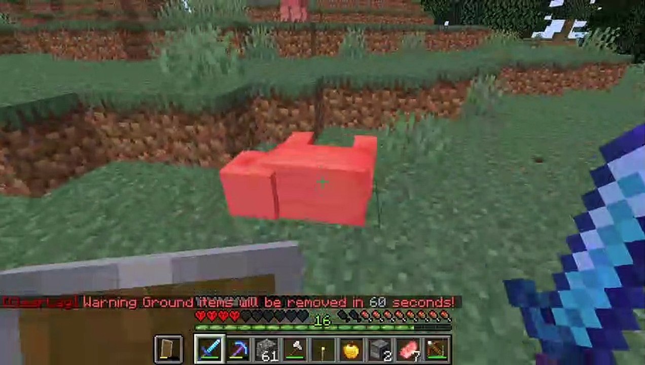 Minecraft auf der 1.16