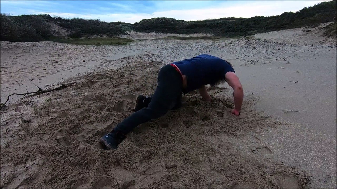 MMA (mixed martial arts), fighting sports ground and pound training video