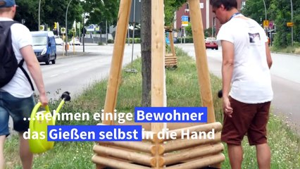 Durstige Stadtbäume: Berliner gießen ihre Kieze