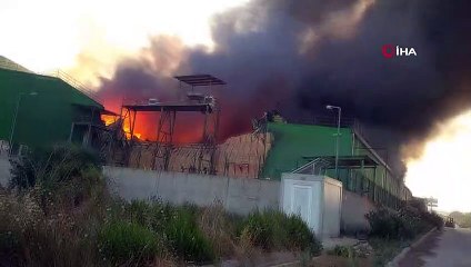 Adana'da nişasta fabrikasında büyük yangın