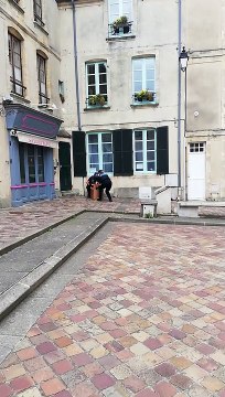 Jeune Faucon Pèlerin - Cathédrale de Bayeux