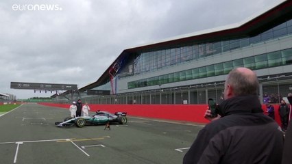 Hamilton critica declarações de Ecclestone sobre racismo