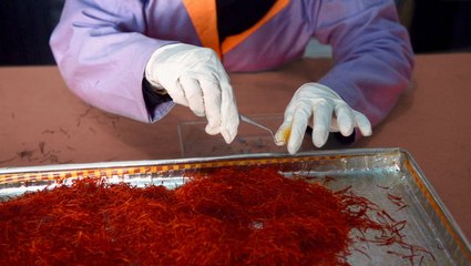 Real saffron can cost you over $10,000 per kilo. Here's what makes it so expensive