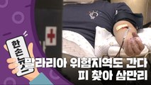 [15초 뉴스] 피 없어서 말라리아 위험지역까지... / YTN