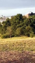 Andrew Eborn Live @555 The Ian Simon Show Primrose Hill 29 06 2020