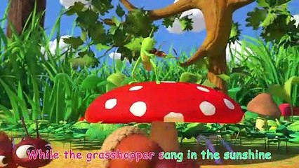 The Ant and the Grasshopper   CoComelon Nursery Rhymes & Kids Songs