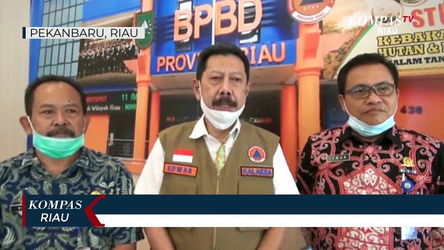 Kebakaran Hutan Dan Lahan Kembali Terjadi Di Riau