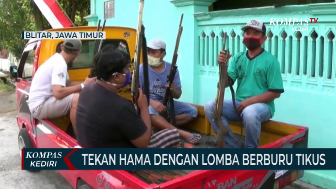 Lomba Berburu Tikus Menggunakan Senapan Angin