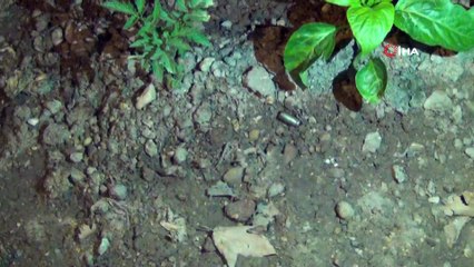 Bursa'da silahlı, keserli sopalı kavgada ortalık karıştı: 1 yaralı, 2 gözaltı