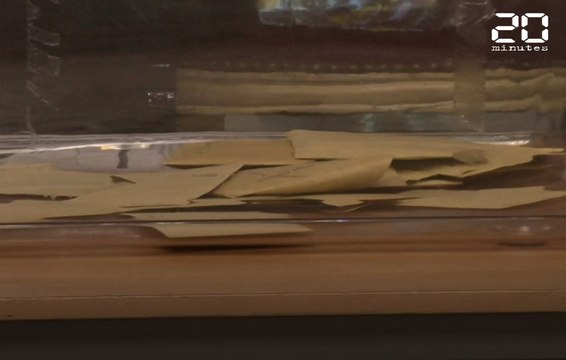 Municipales: EELV l'emporte à Strasbourg et Lyon, Philippe au Havre et Alliot à Perpignan