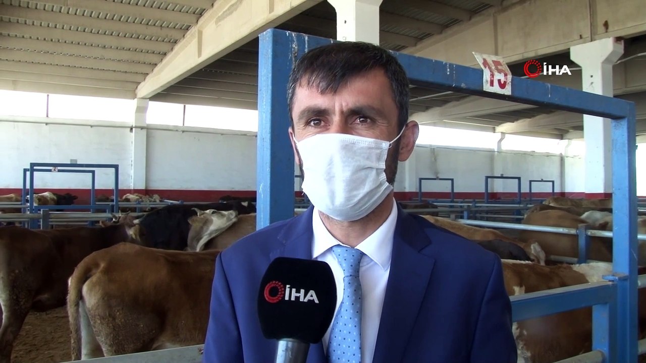 Doğu Anadolu’dan kurbanlık sevkiyatları başlıyor