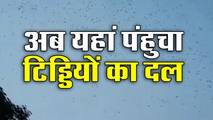 अब यहां भी आ पंहुचा टिड्डियों का दल, किसान हुए भयभीत