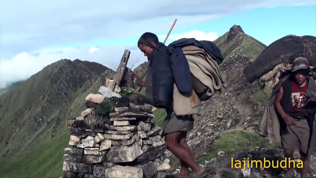 himalayan sheep farm crossing the giant mountain shepherd pastoral life nepali shepherd