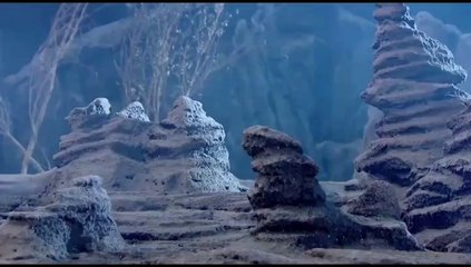 The White King, Final Battle, Taiwan, Anime