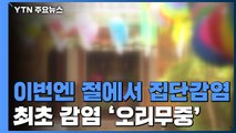 이번엔 사찰서 집단감염...최초 감염 '오리무중' / YTN