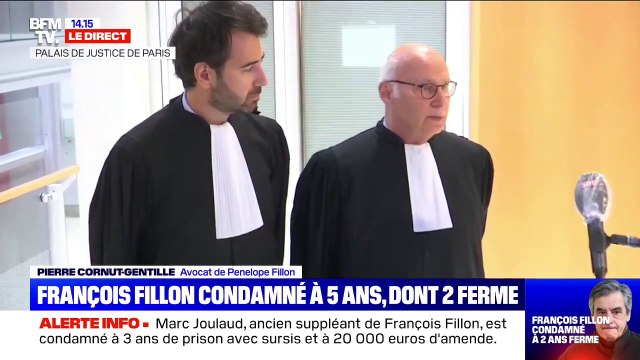 Procès Fillon : l'avocat de Pénélope Fillon estime la décision de justice extrêmement sévère et fait appel