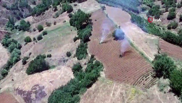 Bingöl'de uyuşturucu tarlalarına operasyon, 1 milyon kök kenevir ele geçirildi