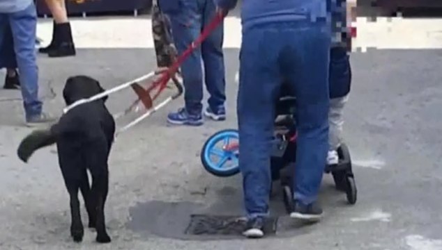 Bologna - Finta cieca truffa Inps, sequestrati 70mila euro (29.06.20)