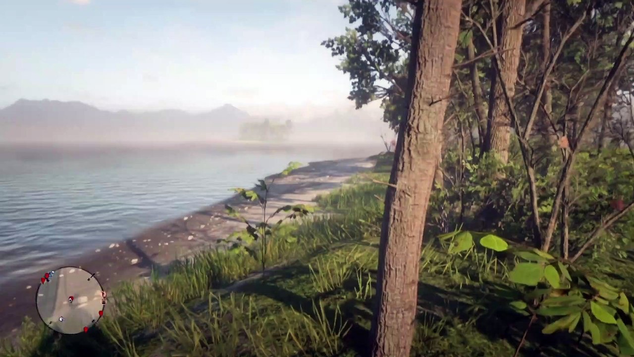 Red Dead Redemption 2 Online Localización de Objetos Colección Exótica
