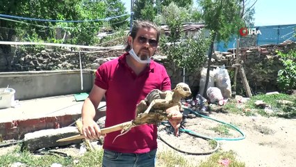 Bilim kurgu filminden değil kömürlükten çıktı