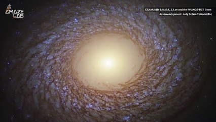 Hubble Captures Stunning, Feathery Spiral Galaxy