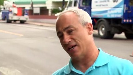 Edmundston abat des arbres pour contrer l'agrile du frêne