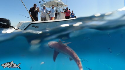 Barstool Outdoors S2 Episode 4: Not Your Grampa's Tampa