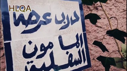 يوميات مبادرة الحي , مع الفنان التشكيلي العالمي داني زهير