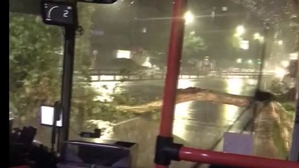 비바람에 가로수 뽑혀...서울 신촌 한때 차량 통행 막혀 / YTN